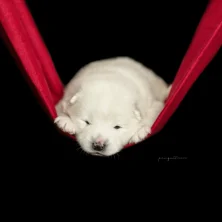 _DSC2189-Bearbeitet