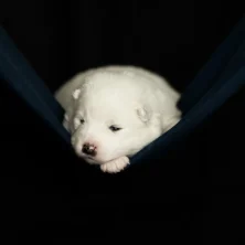 _DSC2273-Druck